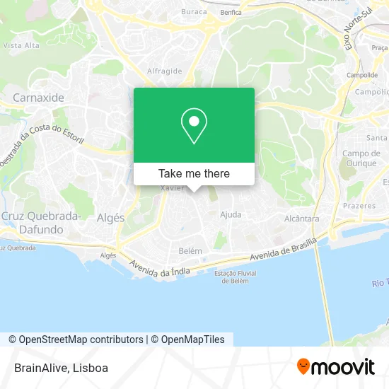 BrainAlive map