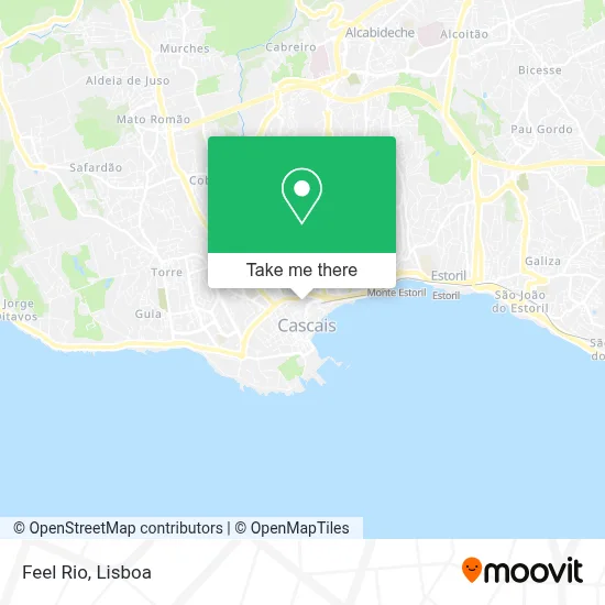 Feel Rio map