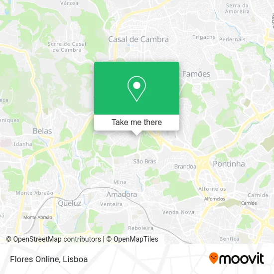 Flores Online map