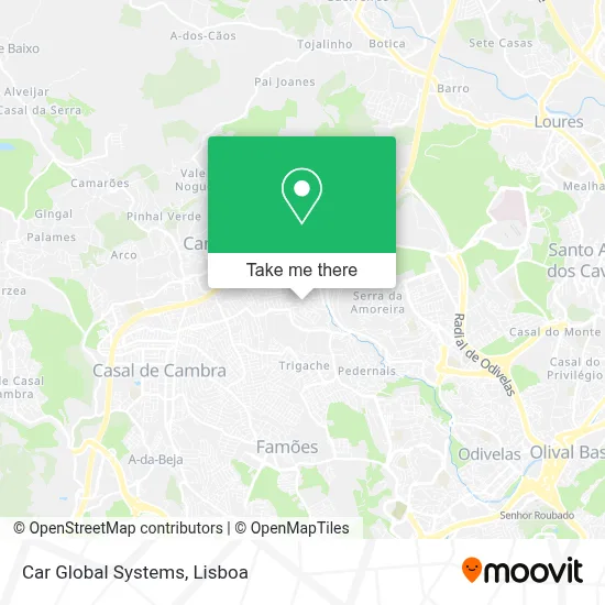 Car Global Systems map