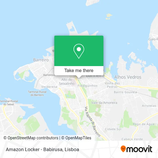 Amazon Locker - Babirusa map