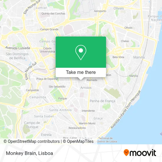 Monkey Brain map