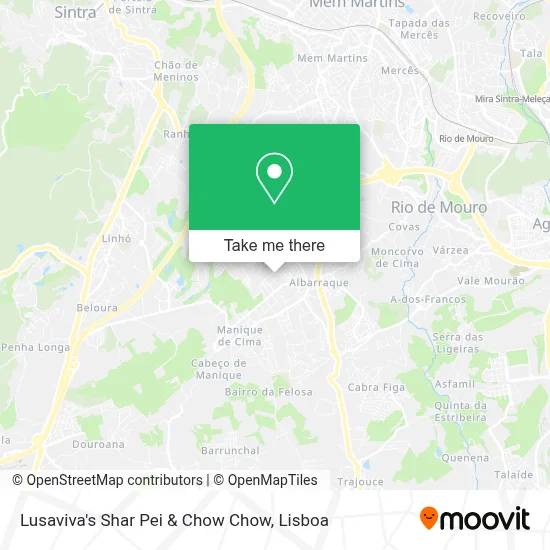 Lusaviva's Shar Pei & Chow Chow map