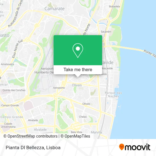 Pianta DI Bellezza map