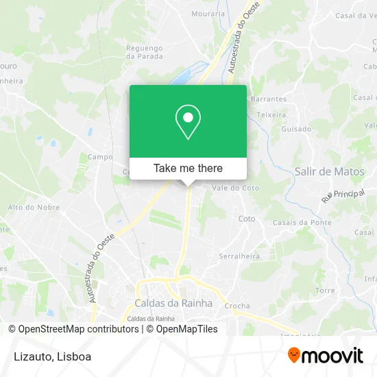 Lizauto map