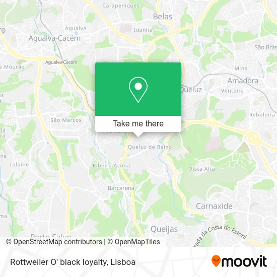 Rottweiler O' black loyalty map
