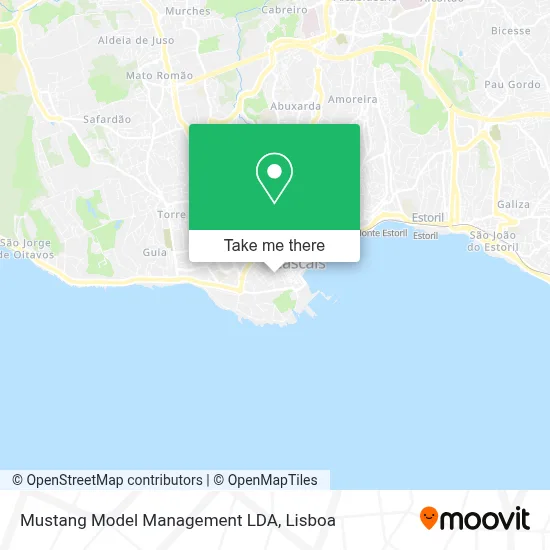 Mustang Model Management LDA map