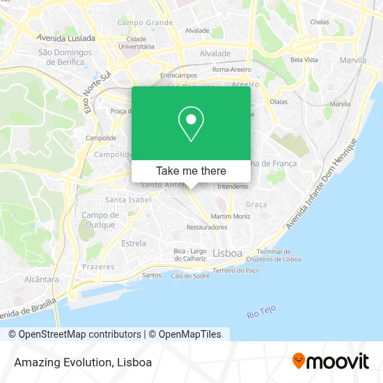 Amazing Evolution map