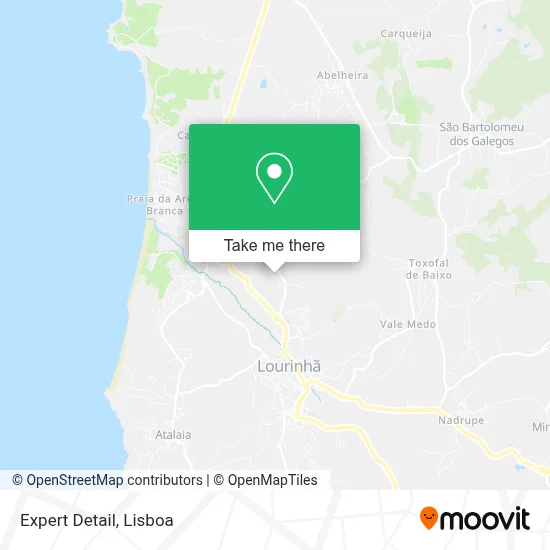 Expert Detail map