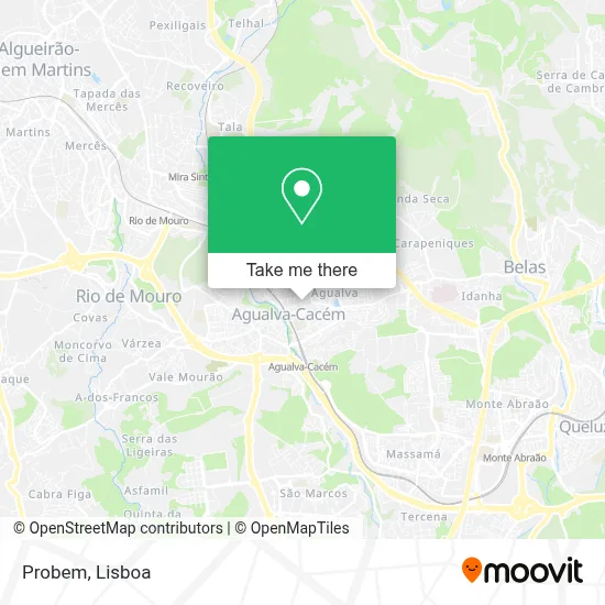 Probem map