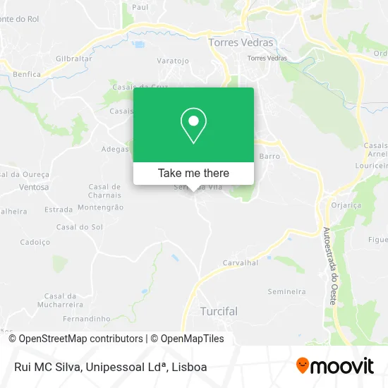 Rui MC Silva, Unipessoal Ldª map