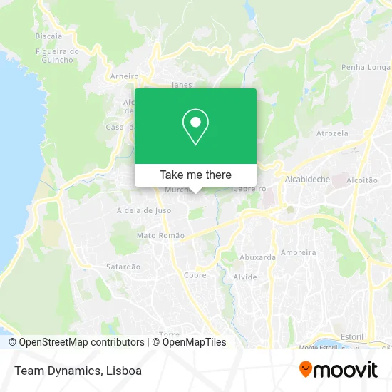 Team Dynamics map