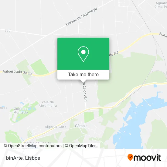 binArte map