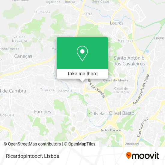Ricardopintoccf mapa
