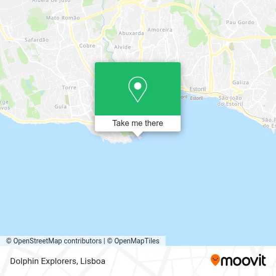 Dolphin Explorers map