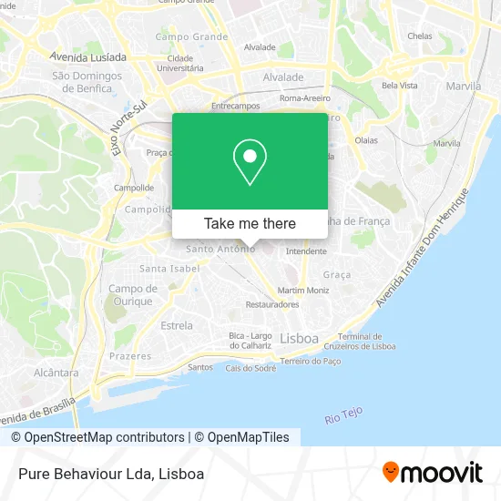 Pure Behaviour Lda map