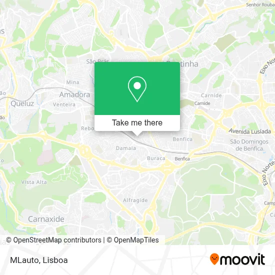 MLauto map