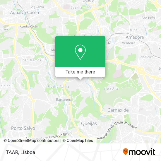 TAAR map