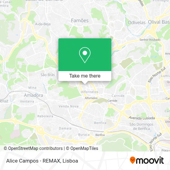 Alice Campos - REMAX map