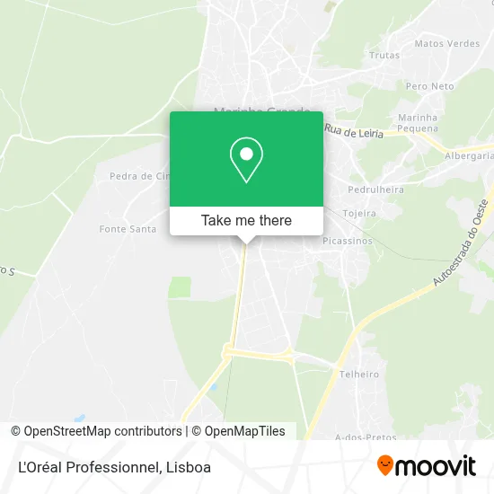 L'Oréal Professionnel map