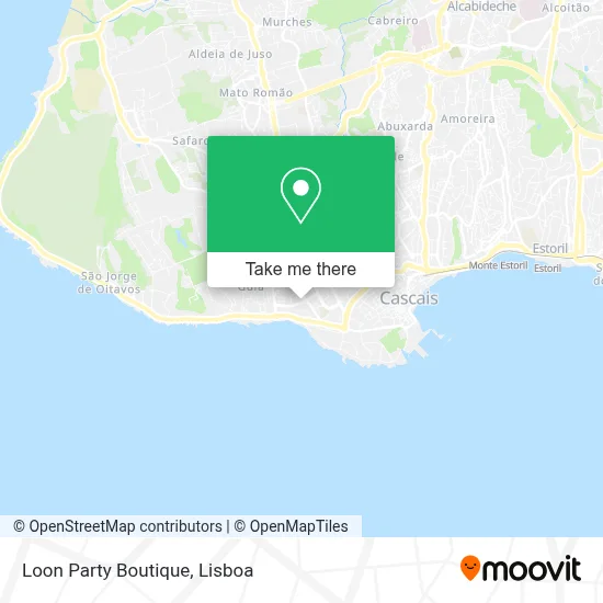 Loon Party Boutique map