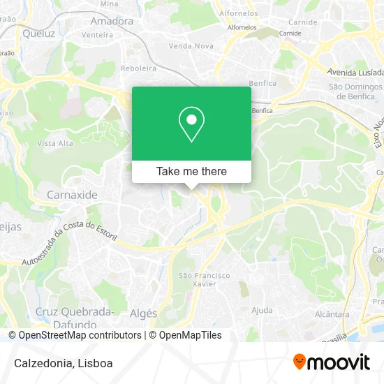 Calzedonia map