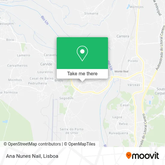 Ana Nunes Nail map