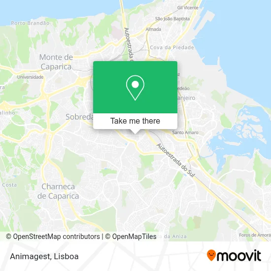 Animagest map