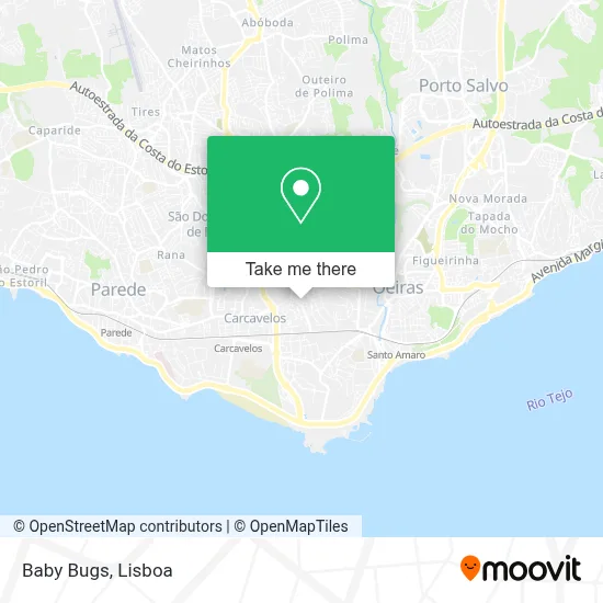 Baby Bugs map