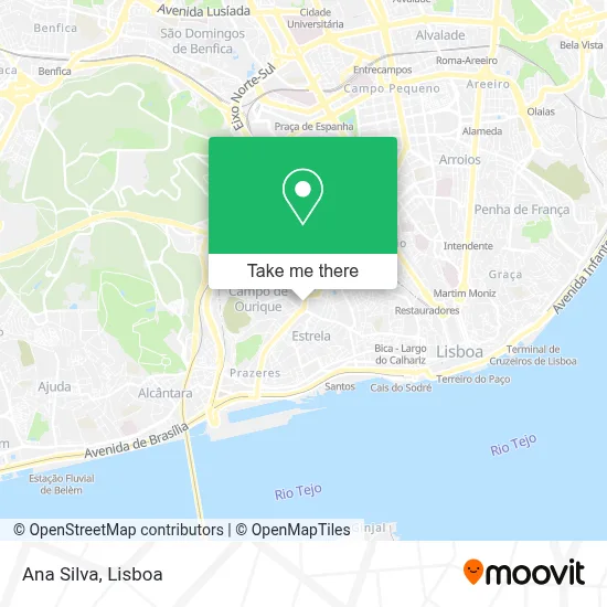 Ana Silva map