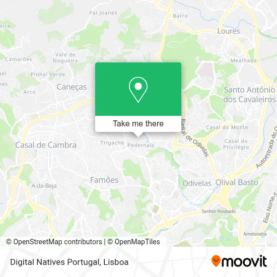 Digital Natives Portugal map