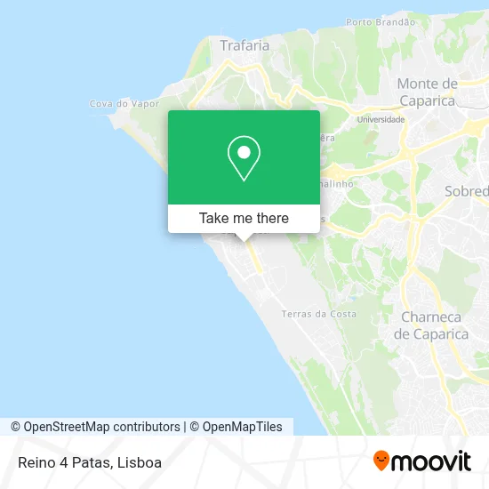 Reino 4 Patas map