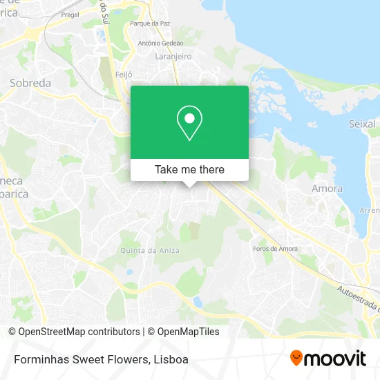Forminhas Sweet Flowers map