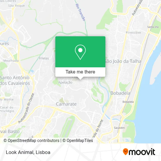 Look Animal map