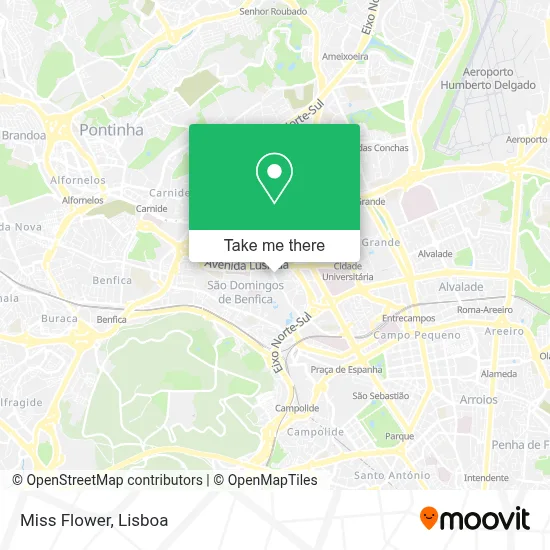 Miss Flower map