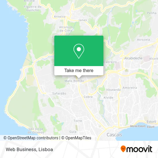 Web Business mapa