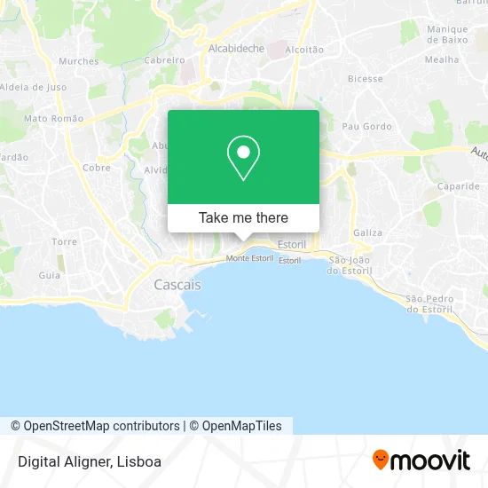 Digital Aligner map