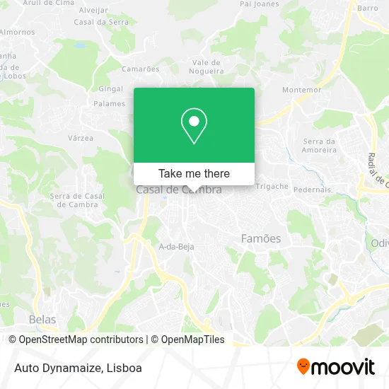 Auto Dynamaize map