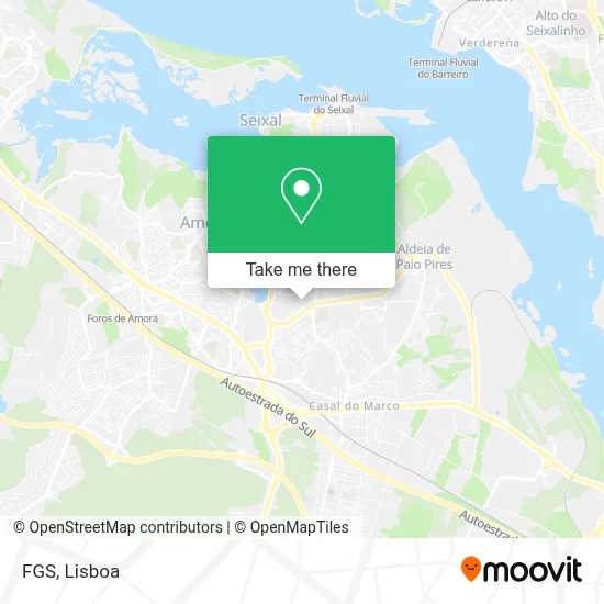 FGS map