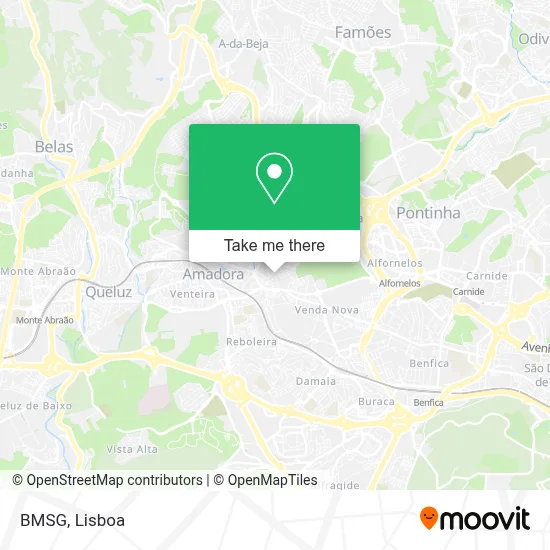 BMSG map