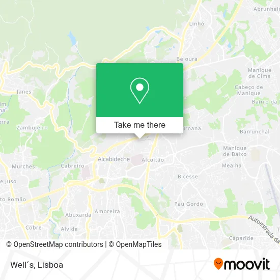 Well´s map
