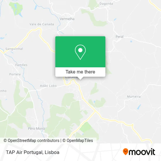 TAP Air Portugal map