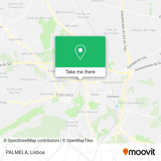PALMELA map