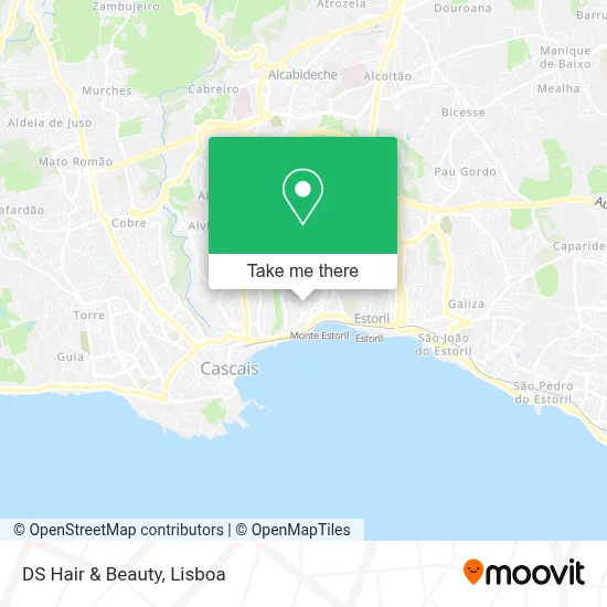 DS Hair & Beauty map