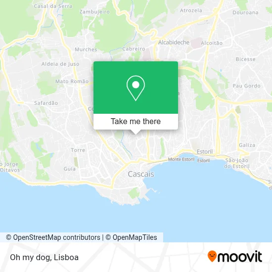 Oh my dog map
