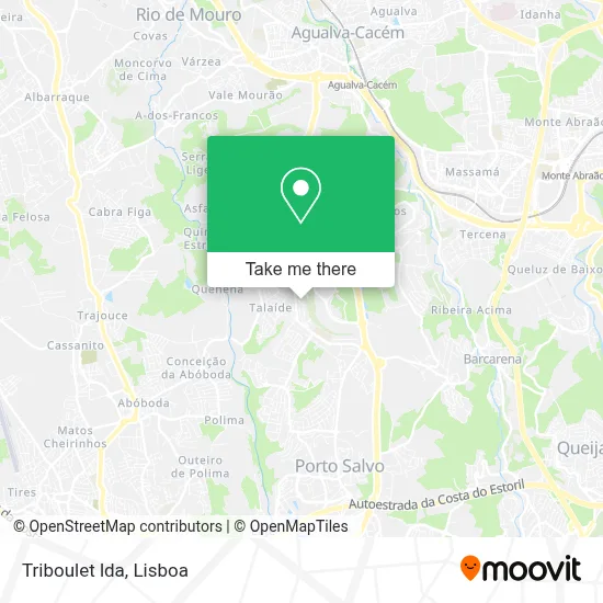 Triboulet lda map