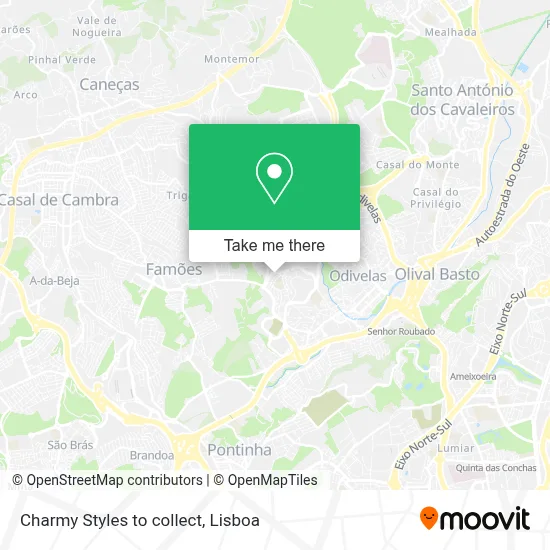 Charmy Styles to collect map