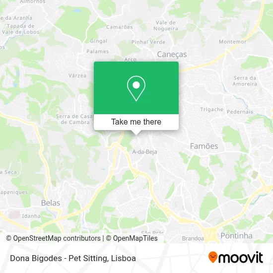 Dona Bigodes - Pet Sitting map