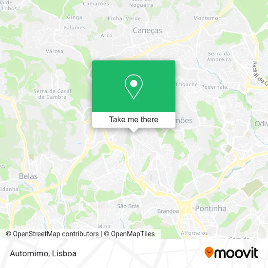 Automimo map