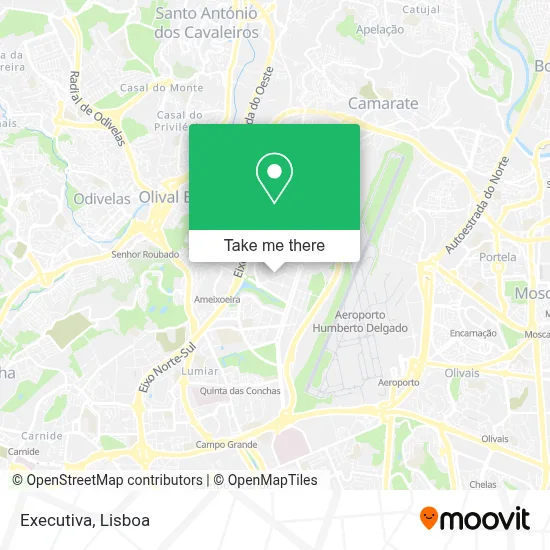 Executiva map